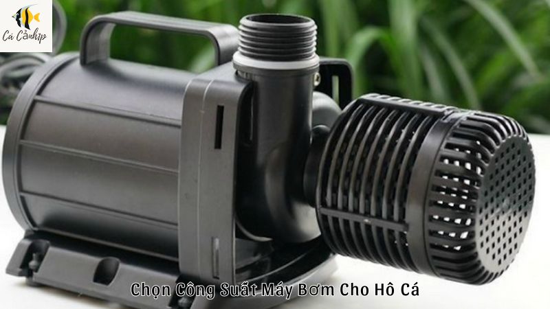 Chọn Công Suất Máy Bơm Cho Hồ Cá